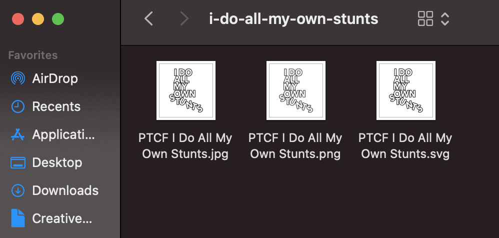 A screenshot of the files inside on an unzipped SVG cut file.  